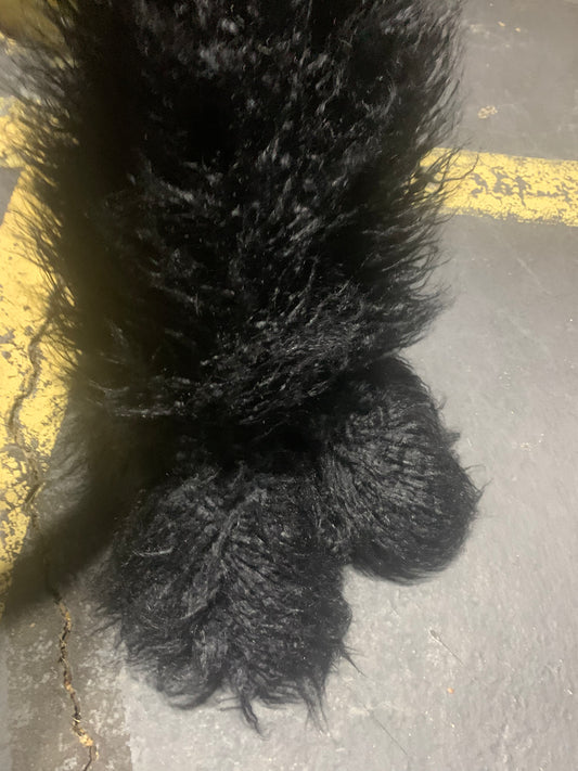 Neicy’s fur’s